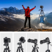 20713 ZOMEI 150cm Lightweight Tripod with Detachable Head & Phone Mount