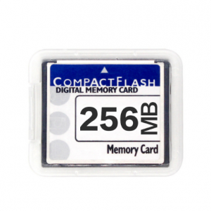 3229 CF Compact Flash Memory Card 256 MB