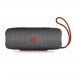 22545 NGS Roller Nitro 3 IPX5 Waterproof BT Speaker 30W