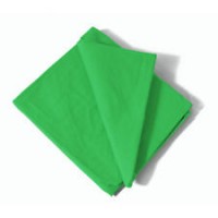 31511 1.8x2.8m Green Muslin Background