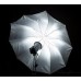 31344 84cm 33 inch  Silver & Black Umbrella 