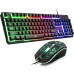 3851 Tactus Rainbow Keyboard & Mouse Gaming Combo K13